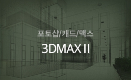 3DMax Ⅱ