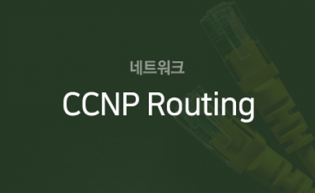 CCNP_Routing