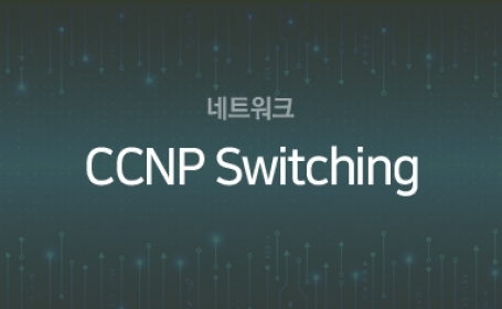 CCNP_Switching