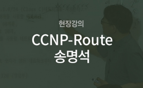 [현장강의] CCNP-Route(송명석)