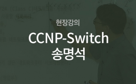 [현장강의] CCNP-Switch(송명석)