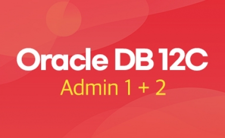 Oracle Database 12c Workshop 1+2